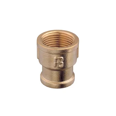 Brass Reducer (Choose Size)